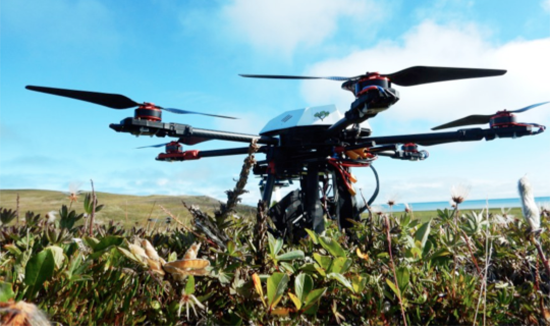 Drone Platforms – Drone Ecology Network